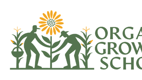 Group Banner Picture